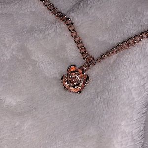Rose Gold Necklace